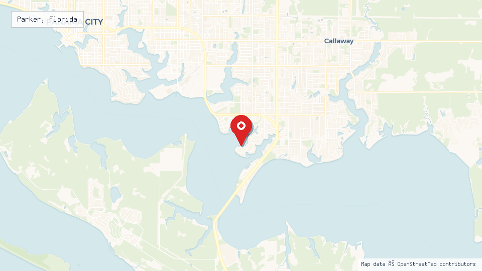 Street map of Parker, Florida with location pin