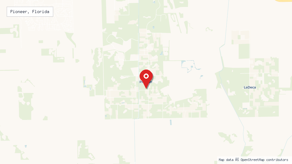 Street map of Pioneer, Florida with location pin
