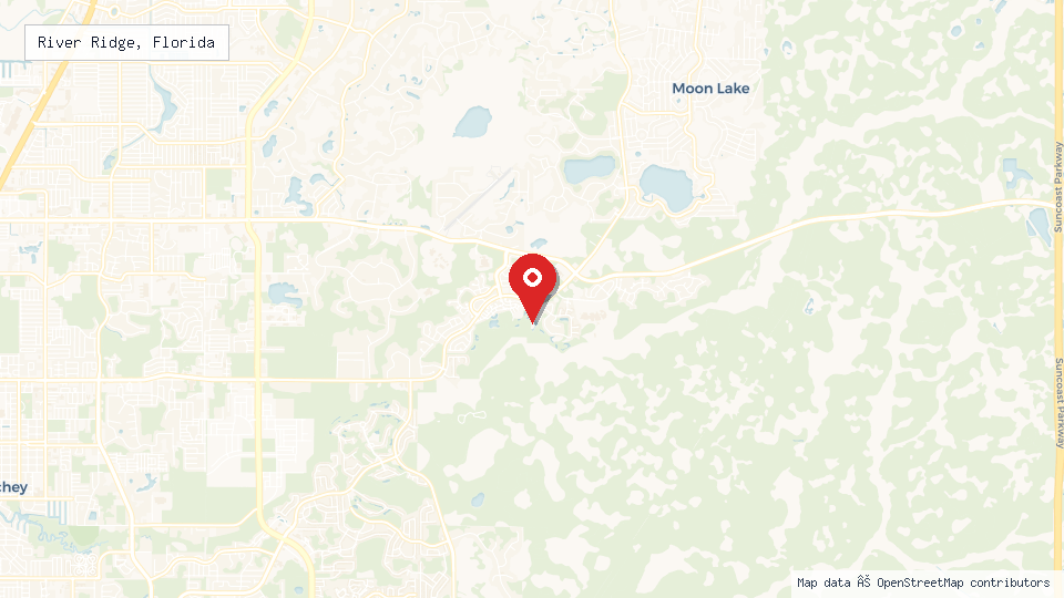 Street map of River Ridge, Florida with location pin