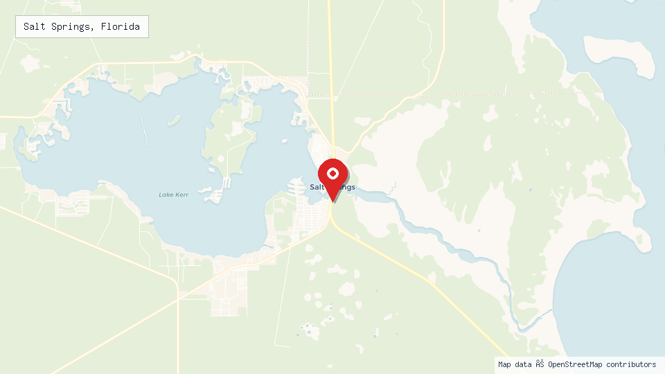 Street map of Salt Springs, Florida with location pin