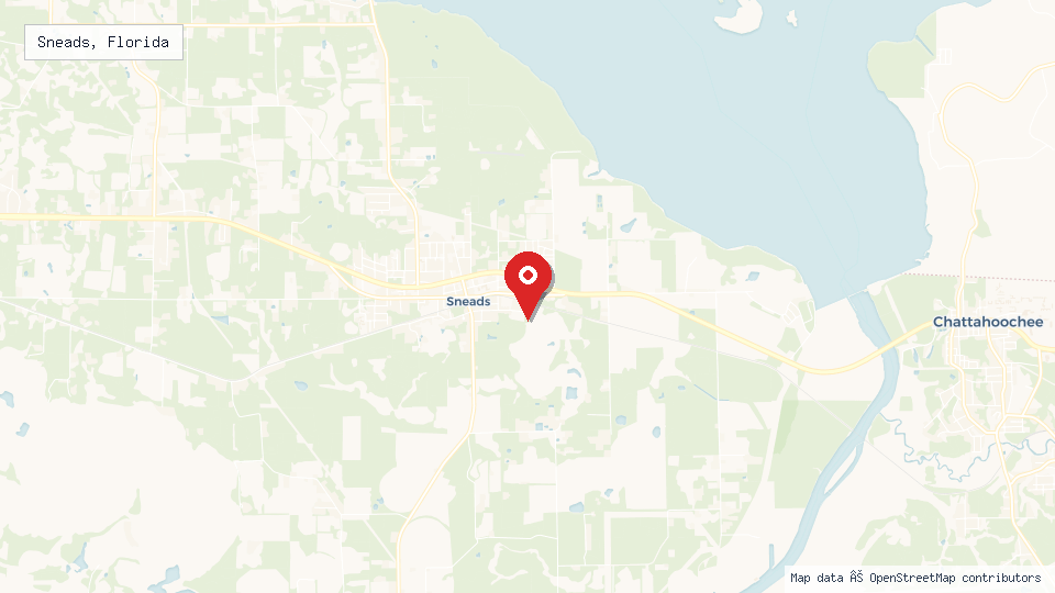Street map of Sneads, Florida with location pin