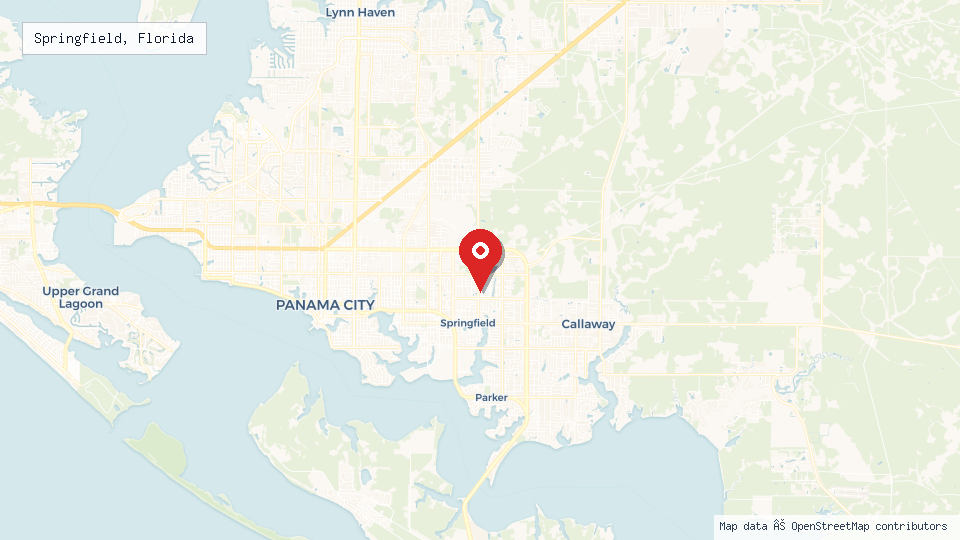 Street map of Springfield, Florida with location pin