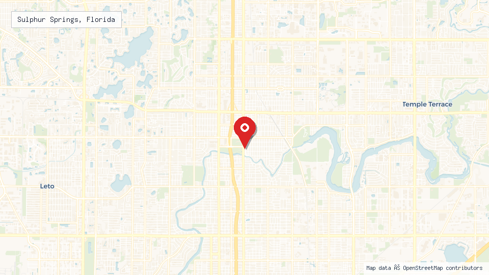 Street map of Sulphur Springs, Florida with location pin