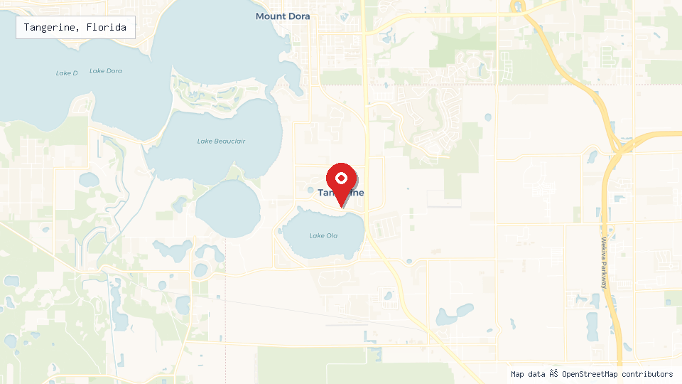 Street map of Tangerine, Florida with location pin