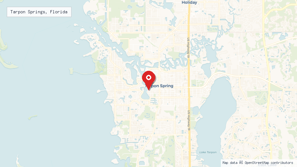 Street map of Tarpon Springs, Florida with location pin