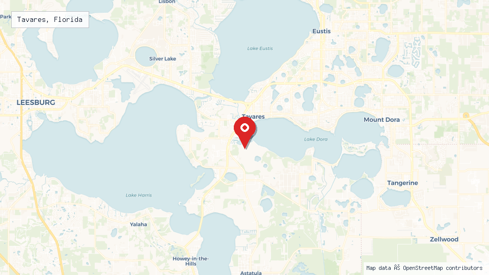 Street map of Tavares, Florida with location pin