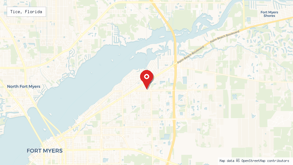 Street map of Tice, Florida with location pin