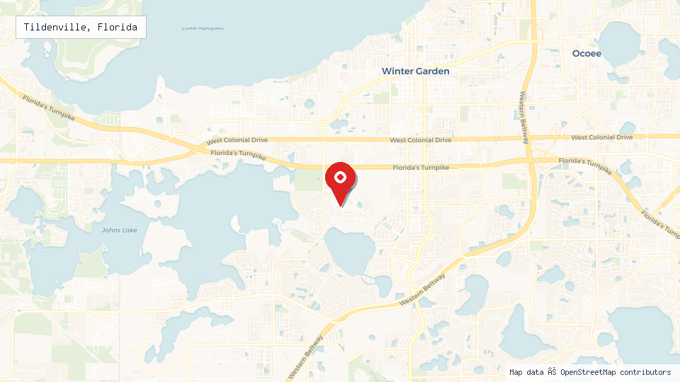 Street map of Tildenville, Florida with location pin