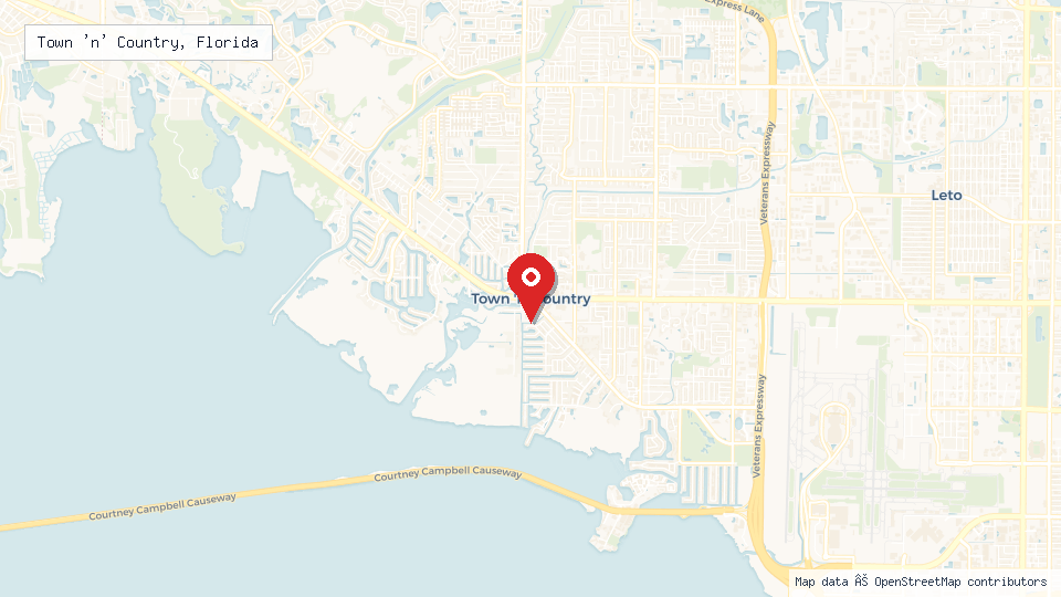 Street map of Town 'n' Country, Florida with location pin