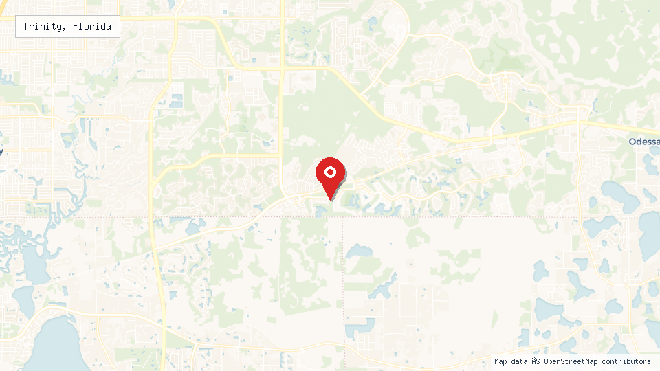 Street map of Trinity, Florida with location pin