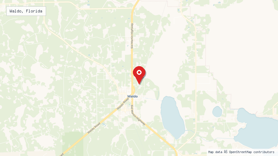 Street map of Waldo, Florida with location pin