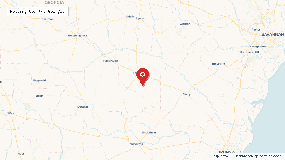 Street map of Appling County, Georgia with location pin