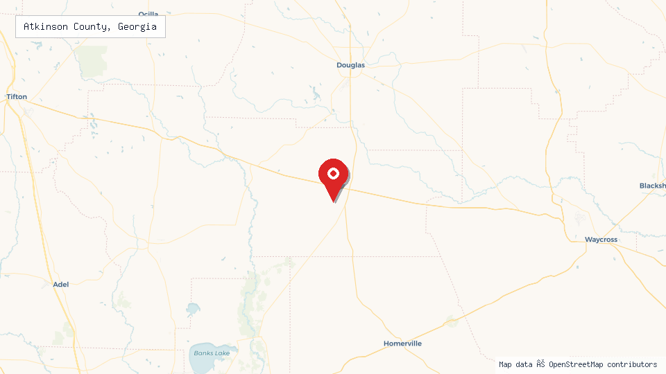 Street map of Atkinson County, Georgia with location pin