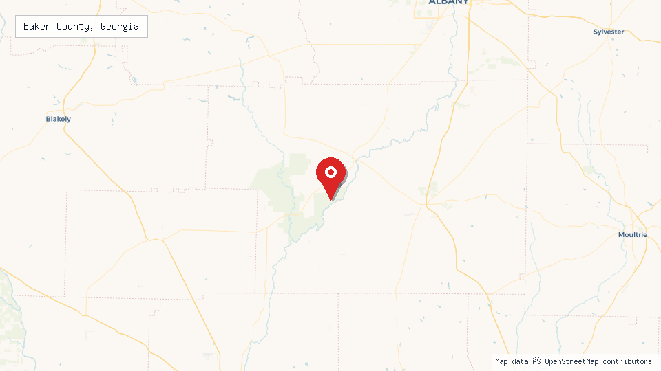 Street map of Baker County, Georgia with location pin