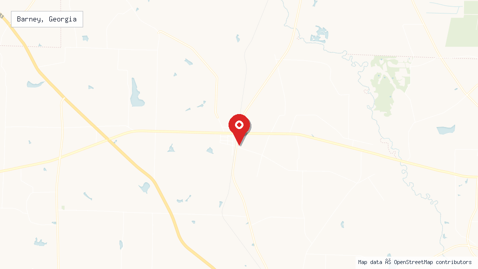 Street map of Barney, Georgia with location pin