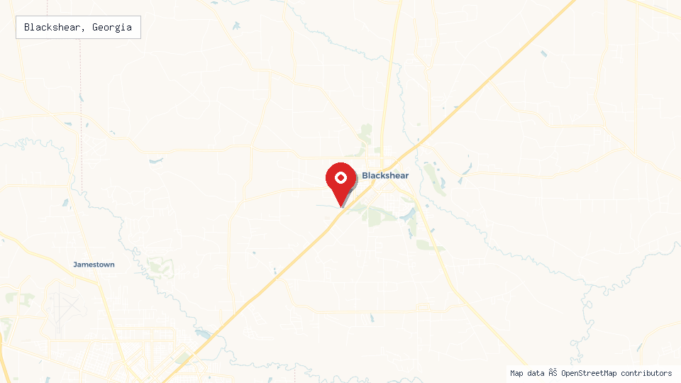 Street map of Blackshear, Georgia with location pin