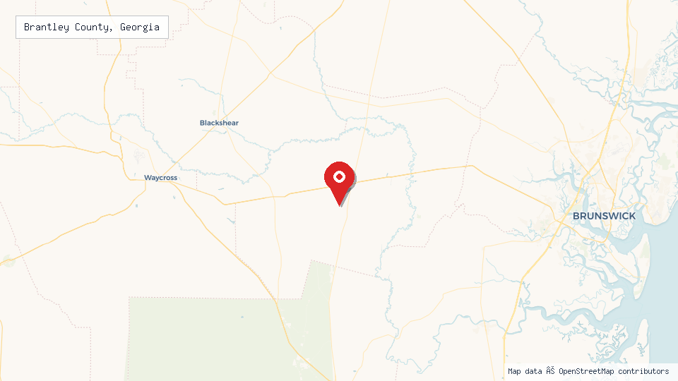 Street map of Brantley County, Georgia with location pin