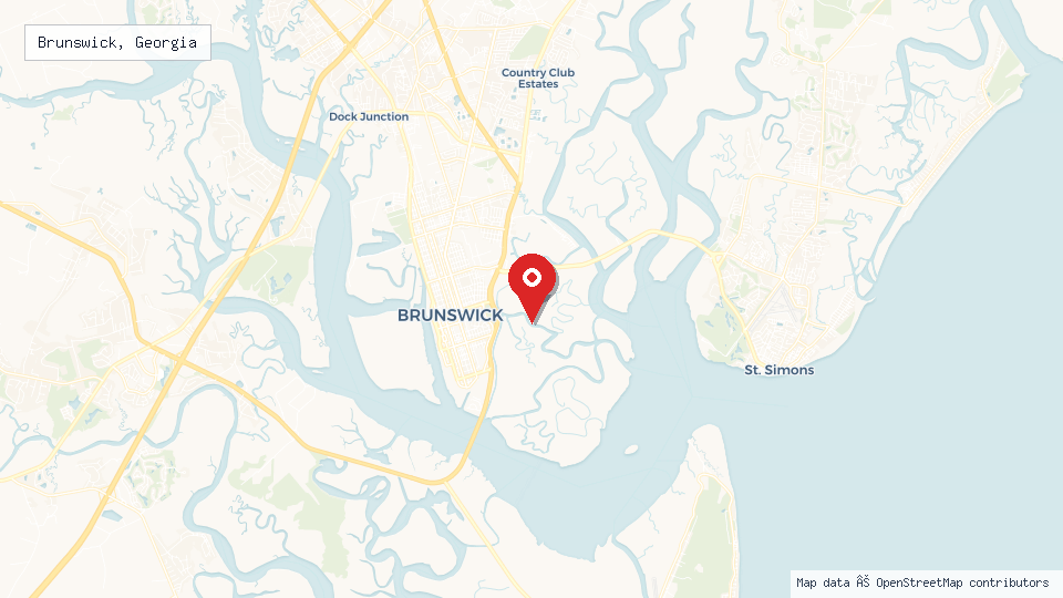 Street map of Brunswick, Georgia with location pin