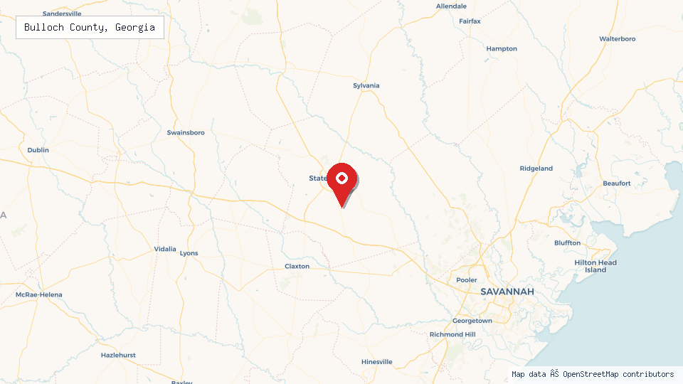 Street map of Bulloch County, Georgia with location pin