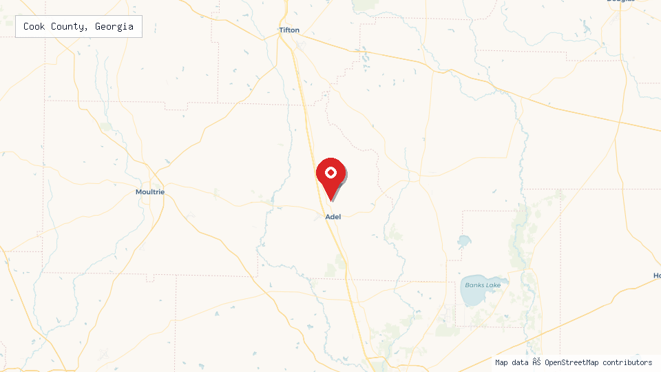 Street map of Cook County, Georgia with location pin