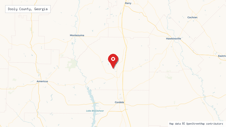 Street map of Dooly County, Georgia with location pin