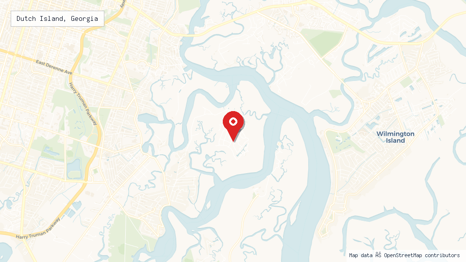 Street map of Dutch Island, Georgia with location pin