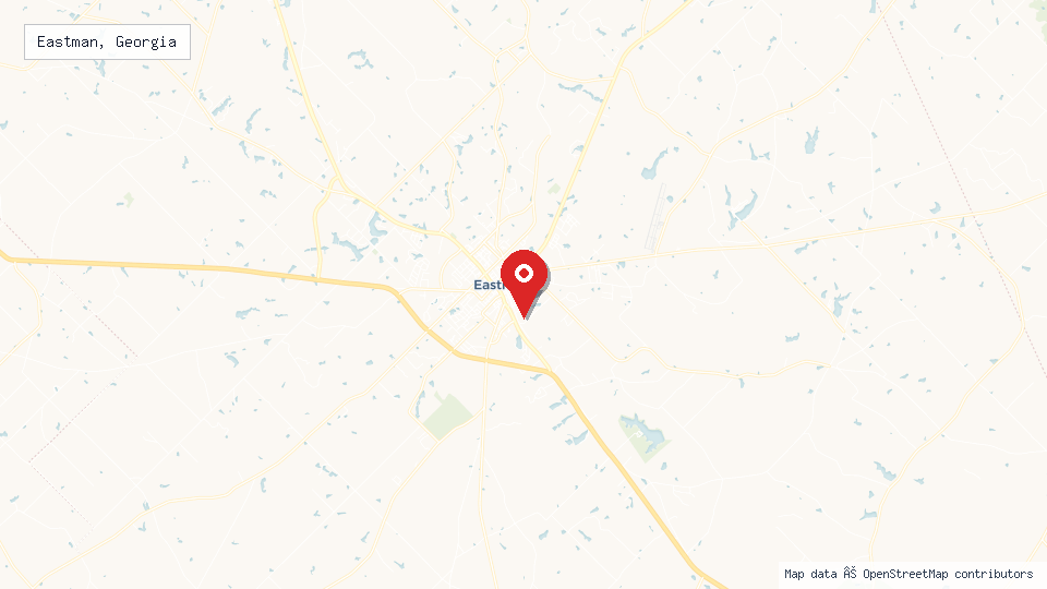 Street map of Eastman, Georgia with location pin