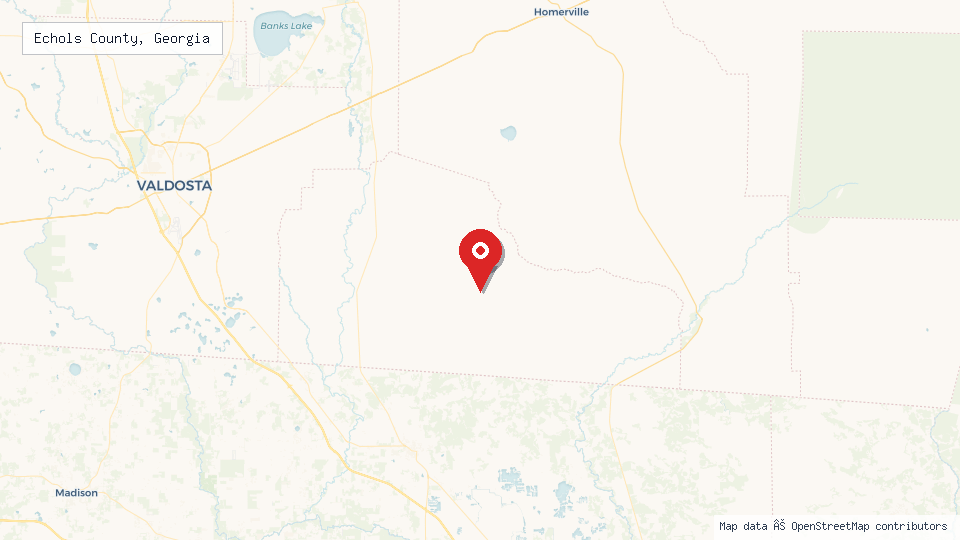 Street map of Echols County, Georgia with location pin