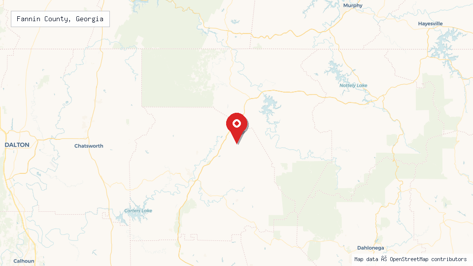 Street map of Fannin County, Georgia with location pin