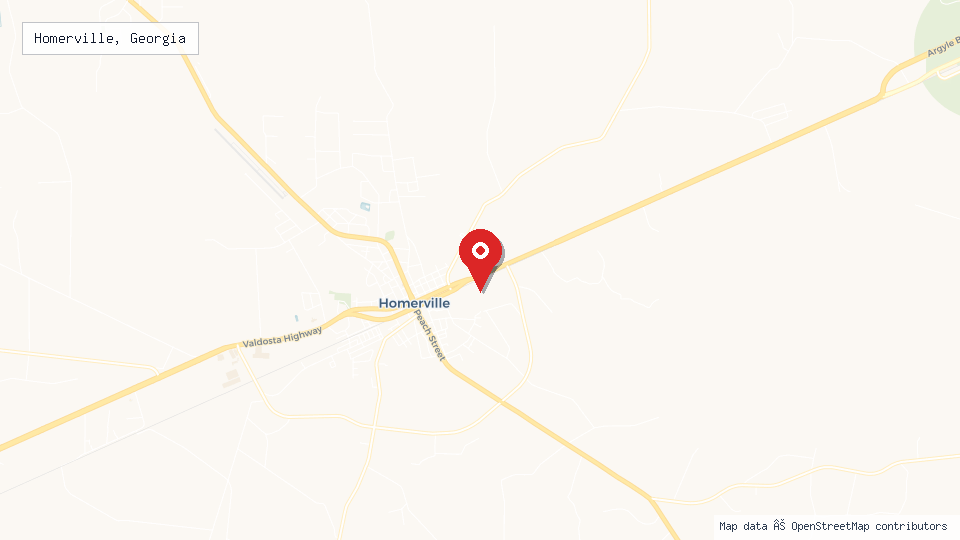 Street map of Homerville, Georgia with location pin