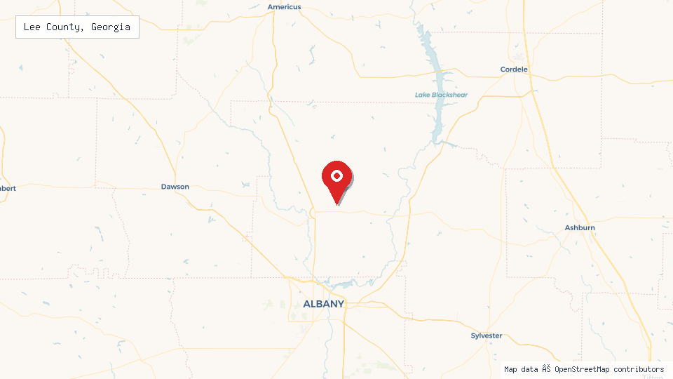 Street map of Lee County, Georgia with location pin