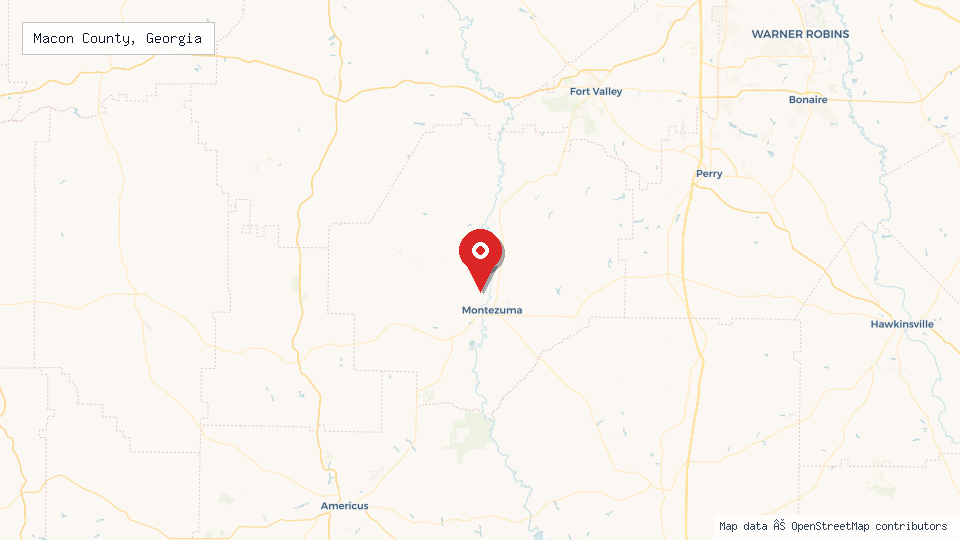 Street map of Macon County, Georgia with location pin