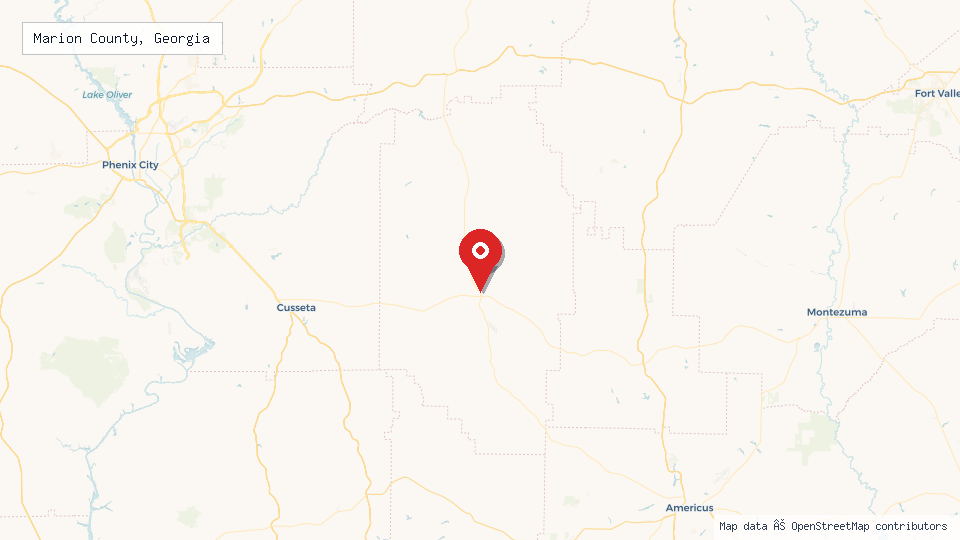Street map of Marion County, Georgia with location pin