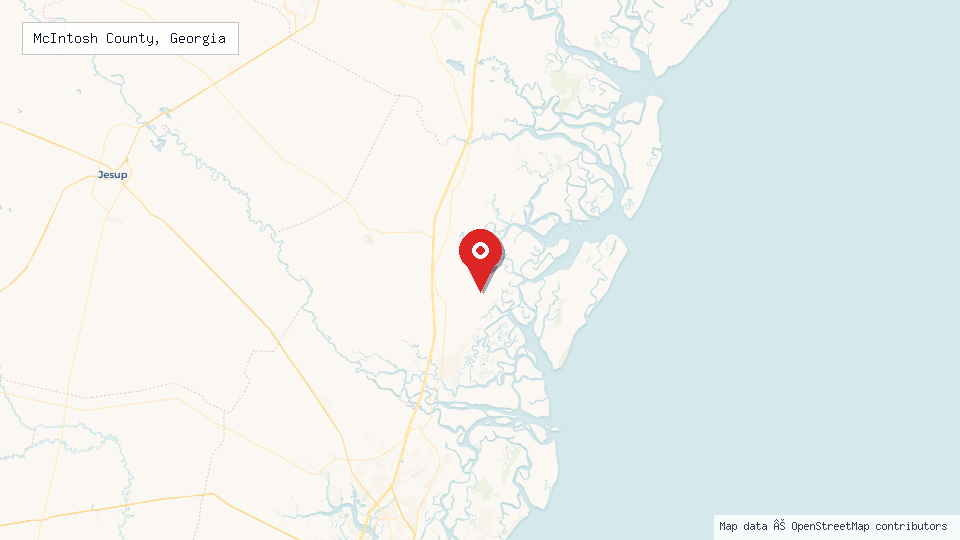 Street map of McIntosh County, Georgia with location pin