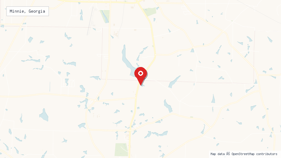 Street map of Minnie, Georgia with location pin