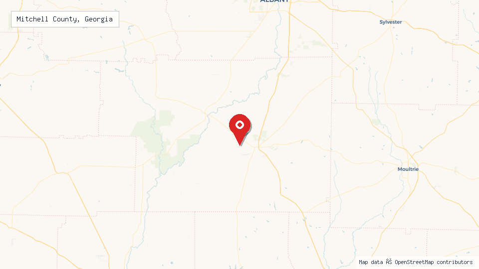 Street map of Mitchell County, Georgia with location pin