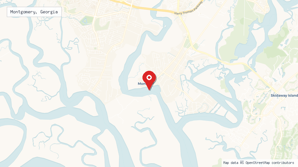Street map of Montgomery, Georgia with location pin