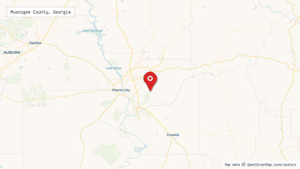 Street map of Muscogee County, Georgia with location pin
