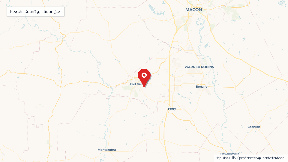 Street map of Peach County, Georgia with location pin