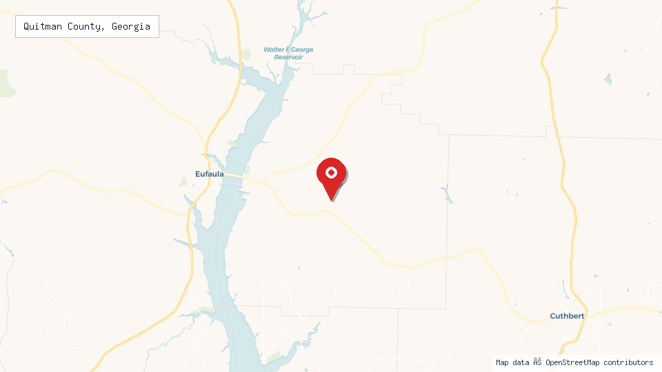 Street map of Quitman County, Georgia with location pin