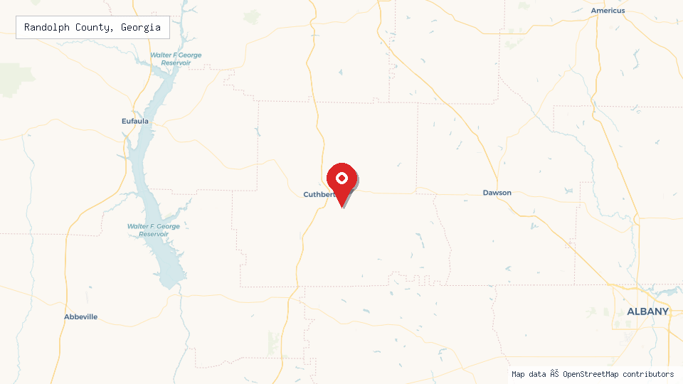 Street map of Randolph County, Georgia with location pin