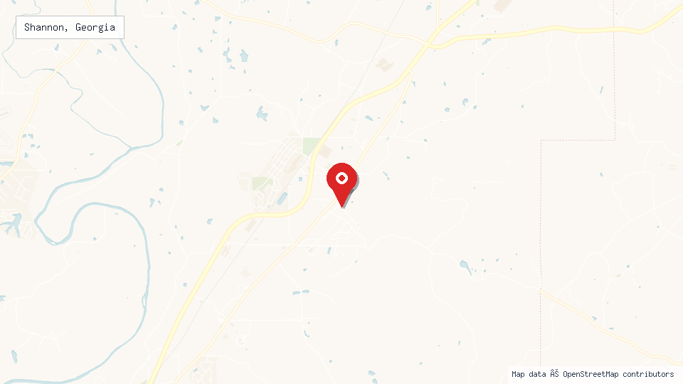 Street map of Shannon, Georgia with location pin