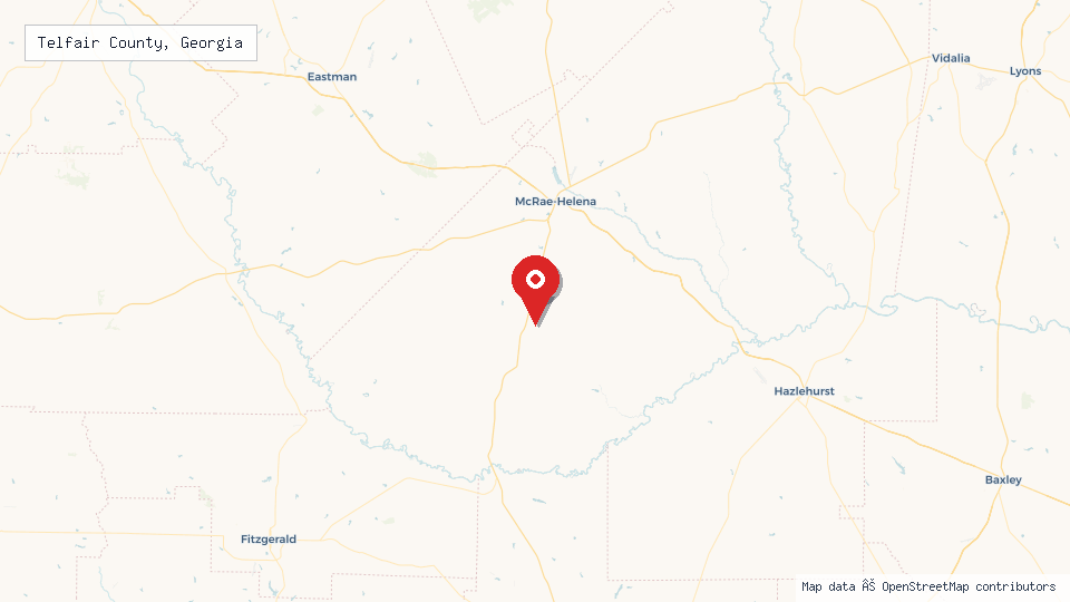 Street map of Telfair County, Georgia with location pin