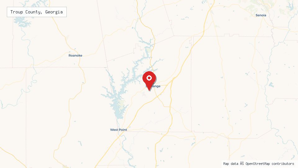 Street map of Troup County, Georgia with location pin