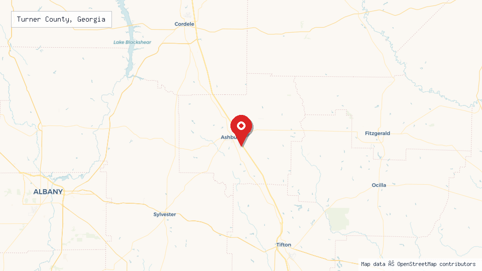 Street map of Turner County, Georgia with location pin