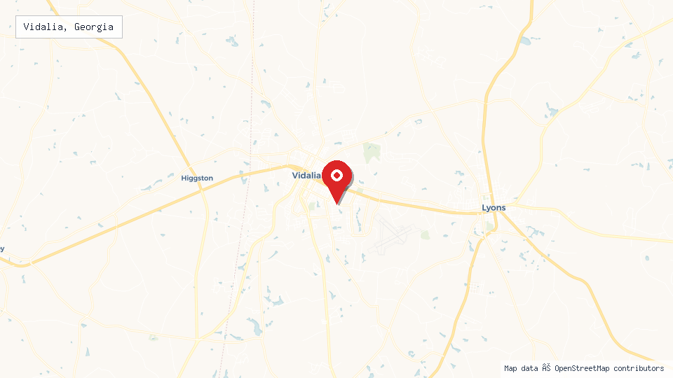 Street map of Vidalia, Georgia with location pin