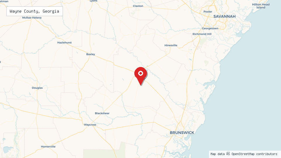 Street map of Wayne County, Georgia with location pin