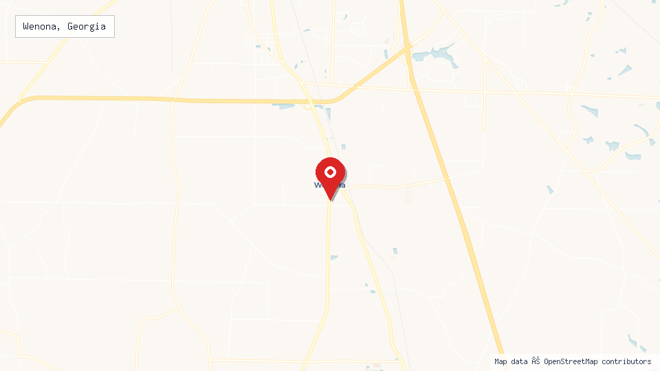 Street map of Wenona, Georgia with location pin