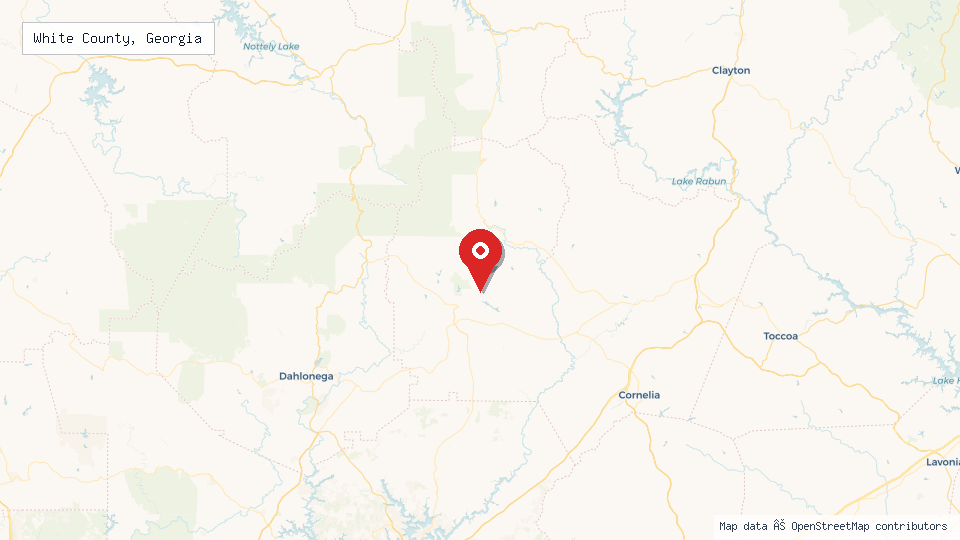 Street map of White County, Georgia with location pin