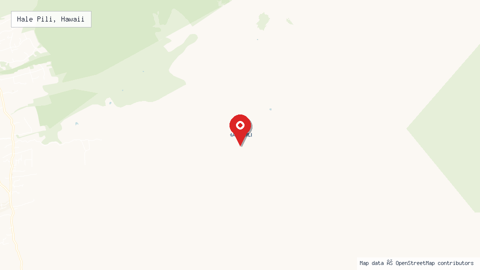 Street map of Hale Pili, Hawaii with location pin